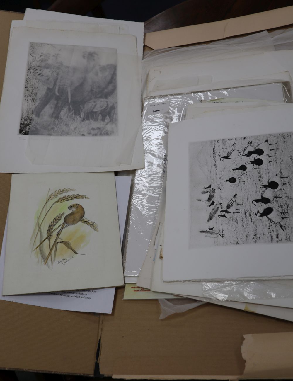 Timothy Greenwood (1946-2010), a folio of assorted etchings, all wildlife studies, together with a watercolour of a field mouse, 26 x 2